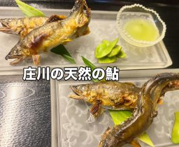 460A06E5-E4BB-4054-99EE-CFE2B33C108F