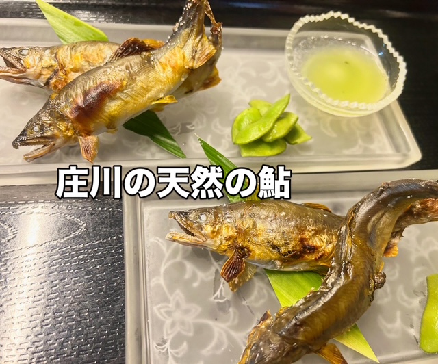 460A06E5-E4BB-4054-99EE-CFE2B33C108F