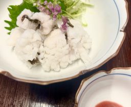 hamohamo